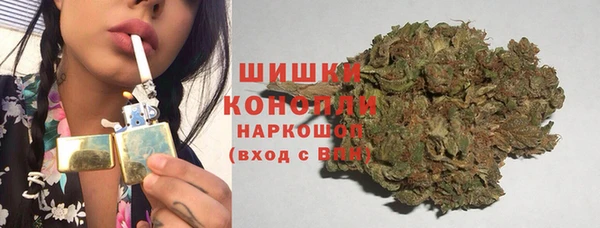 дживик Кулебаки