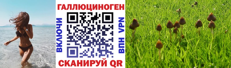 hydra как зайти купить цена Харабали Галлюциногенные грибы ЛСД
